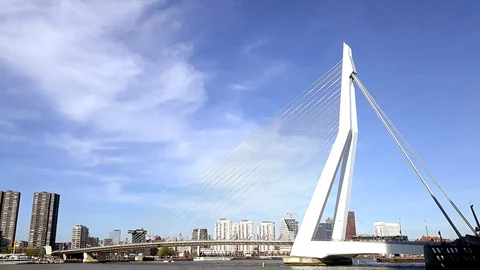 De Erasmusbrug over de Nieuwe Maas in Rotterdam